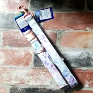 Top Paw Neoprene 4‎ ft Comfort Leash and Large Collar Set